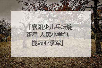 襄阳少儿乓坛绽新星 人民小学包揽冠亚季军