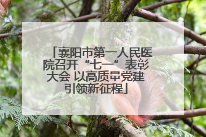 襄阳市第一人民医院召开“七一”表彰大会 以高质量党建引领新征程