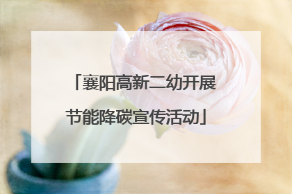 襄阳高新二幼开展节能降碳宣传活动