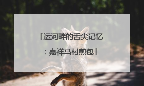 运河畔的舌尖记忆：嘉祥马村煎包