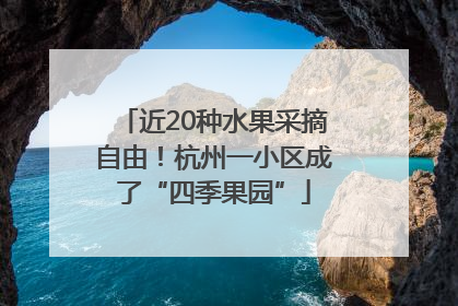 近20种水果采摘自由！杭州一小区成了“四季果园”