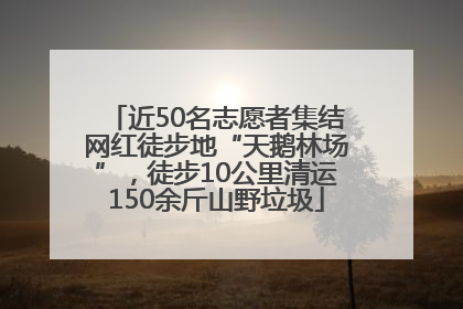 近50名志愿者集结网红徒步地“天鹅林场”，徒步10公里清运150余斤山野垃圾