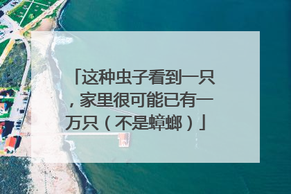 这种虫子看到一只，家里很可能已有一万只（不是蟑螂）