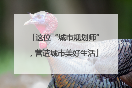 这位“城市规划师”，营造城市美好生活