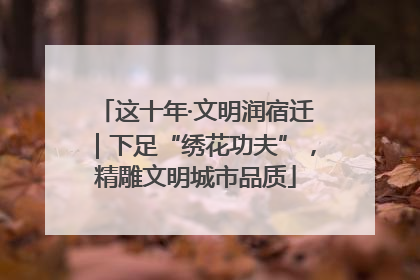 这十年·文明润宿迁｜下足“绣花功夫”，精雕文明城市品质