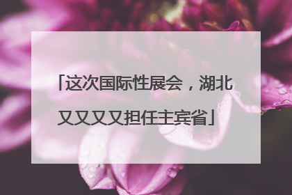 这次国际性展会，湖北又又又又担任主宾省