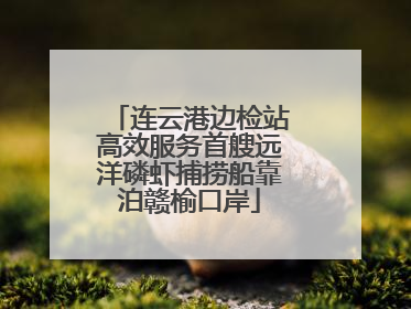 连云港边检站高效服务首艘远洋磷虾捕捞船靠泊赣榆口岸