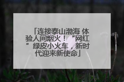 连接泰山渤海 体验人间烟火！“网红”绿皮小火车，新时代迎来新使命