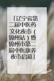 辽宁省第二届中医药文化夜市（锦州站）暨锦州市第二届中医康养夜市启幕