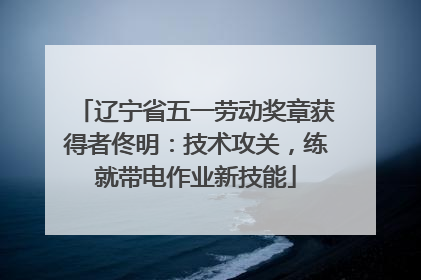 辽宁省五一劳动奖章获得者佟明：技术攻关，练就带电作业新技能