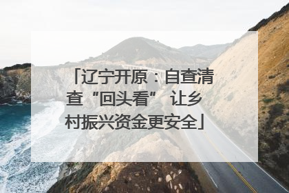 辽宁开原：自查清查“回头看” 让乡村振兴资金更安全
