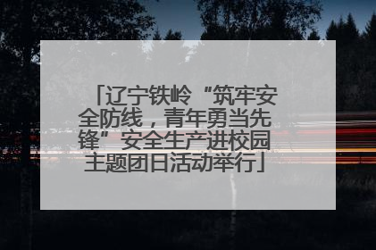 辽宁铁岭“筑牢安全防线，青年勇当先锋”安全生产进校园主题团日活动举行