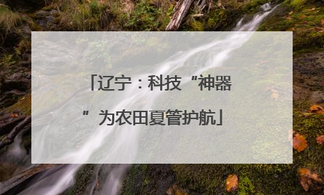 辽宁：科技“神器”为农田夏管护航