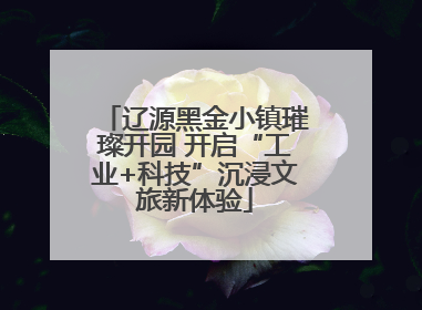 辽源黑金小镇璀璨开园 开启“工业+科技”沉浸文旅新体验