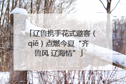 辽鲁携手花式邀客（qiě）点燃今夏“齐鲁风 辽海情”