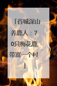 谷城深山养鹿人：70只梅花鹿带富一个村