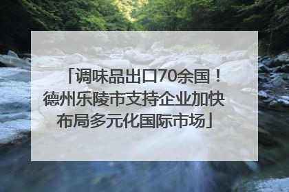 调味品出口70余国！德州乐陵市支持企业加快布局多元化国际市场