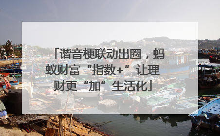 谐音梗联动出圈，蚂蚁财富“指数+”让理财更“加”生活化