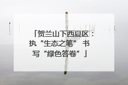 贺兰山下西夏区：执“生态之笔” 书写“绿色答卷”