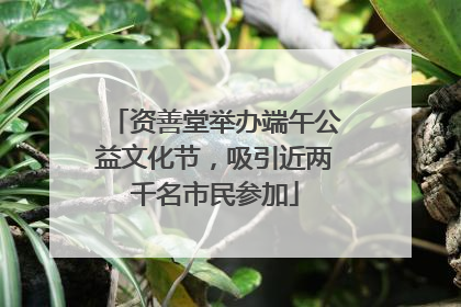 资善堂举办端午公益文化节，吸引近两千名市民参加
