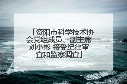 资阳市科学技术协会党组成员、副主席刘小彬 接受纪律审查和监察调查
