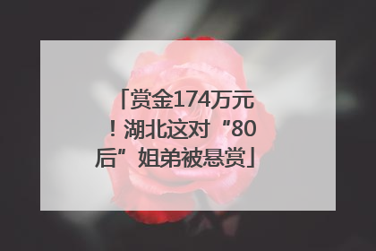 赏金174万元！湖北这对“80后”姐弟被悬赏