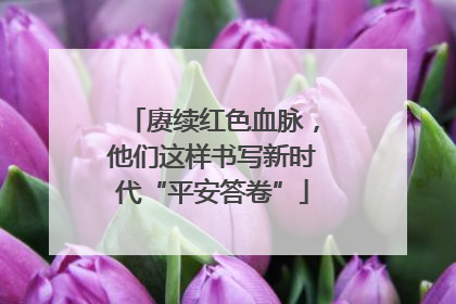 赓续红色血脉，他们这样书写新时代“平安答卷”