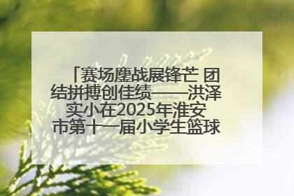 赛场鏖战展锋芒 团结拼搏创佳绩——洪泽实小在2025年淮安市第十一届小学生篮球比赛中再获佳绩