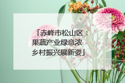 赤峰市松山区：果蔬产业绿意浓 乡村振兴展新姿