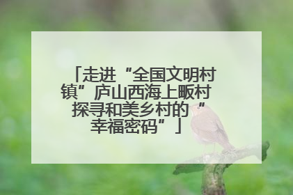 走进“全国文明村镇”庐山西海上畈村 探寻和美乡村的“幸福密码”