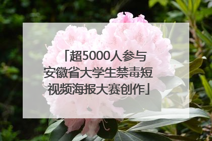 超5000人参与安徽省大学生禁毒短视频海报大赛创作