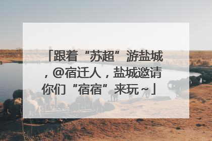 跟着“苏超”游盐城，@宿迁人，盐城邀请你们“宿宿”来玩～
