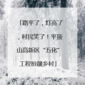 路平了，灯亮了，村民笑了！平顶山高新区“五化”工程扮靓乡村