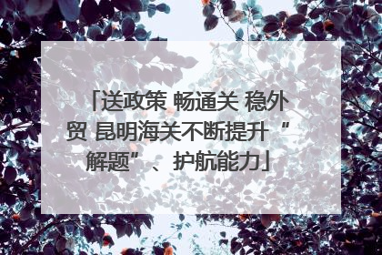 送政策 畅通关 稳外贸 昆明海关不断提升“解题”、护航能力