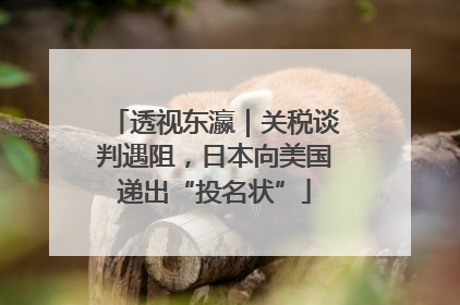 透视东瀛｜关税谈判遇阻，日本向美国递出“投名状”