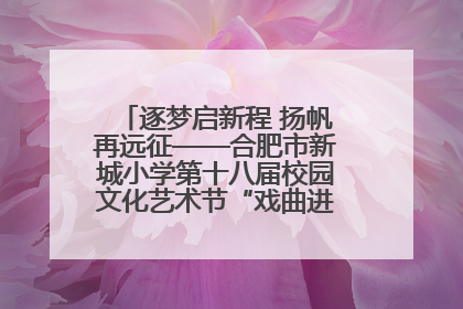 逐梦启新程 扬帆再远征——合肥市新城小学第十八届校园文化艺术节“戏曲进校园专场演出”