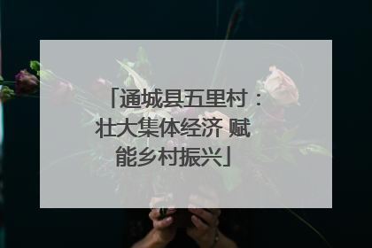 通城县五里村：壮大集体经济 赋能乡村振兴