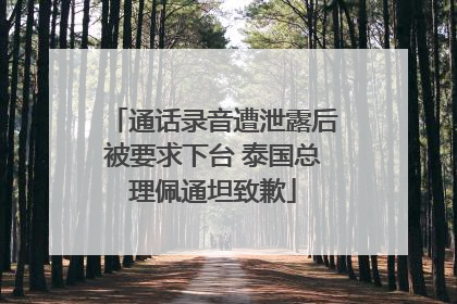 通话录音遭泄露后被要求下台 泰国总理佩通坦致歉