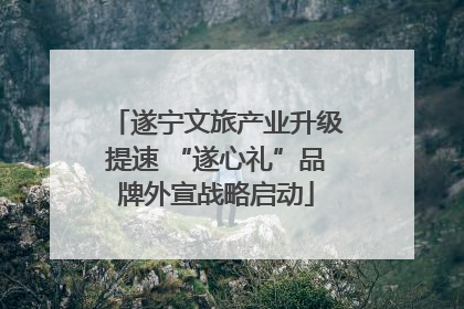 遂宁文旅产业升级提速 “遂心礼”品牌外宣战略启动