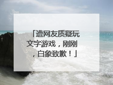 遭网友质疑玩文字游戏，刚刚，白象致歉！