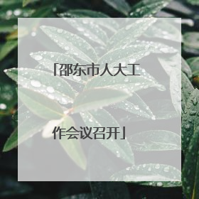 邵东市人大工作会议召开