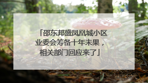 邵东邦盛凤凰城小区业委会筹备十年未果，相关部门回应来了