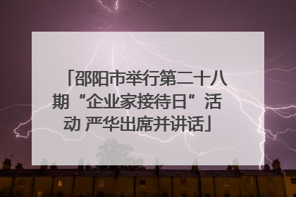邵阳市举行第二十八期“企业家接待日”活动 严华出席并讲话