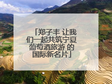 郑子丰 让我们一起共筑宁夏葡萄酒旅游 的国际新名片