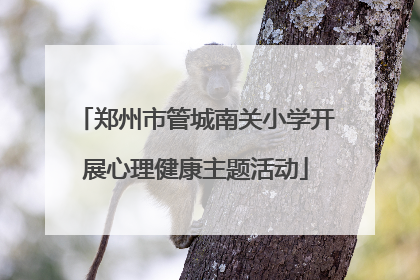 郑州市管城南关小学开展心理健康主题活动
