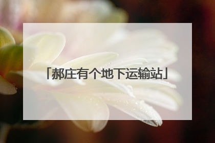 郝庄有个地下运输站