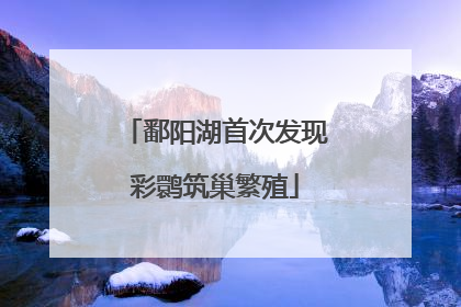 鄱阳湖首次发现彩鹮筑巢繁殖