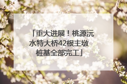 重大进展！桃源沅水特大桥42根主墩桩基全部完工
