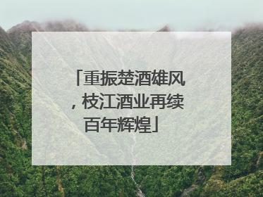 重振楚酒雄风，枝江酒业再续百年辉煌