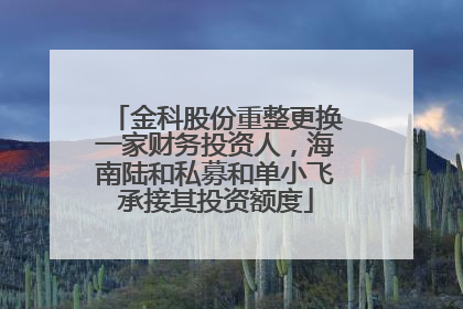 金科股份重整更换一家财务投资人，海南陆和私募和单小飞承接其投资额度